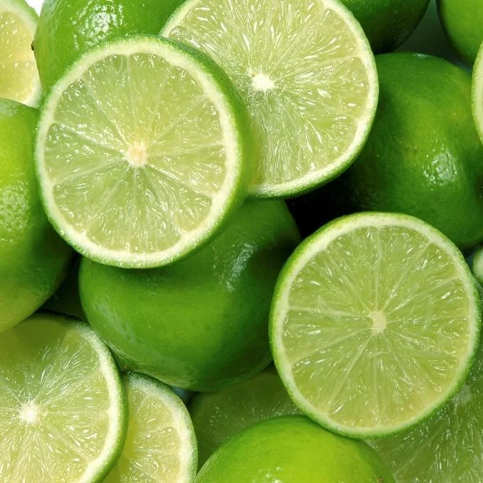 10 Citrus Lemon Plants,  Seedless Lemon Plants,