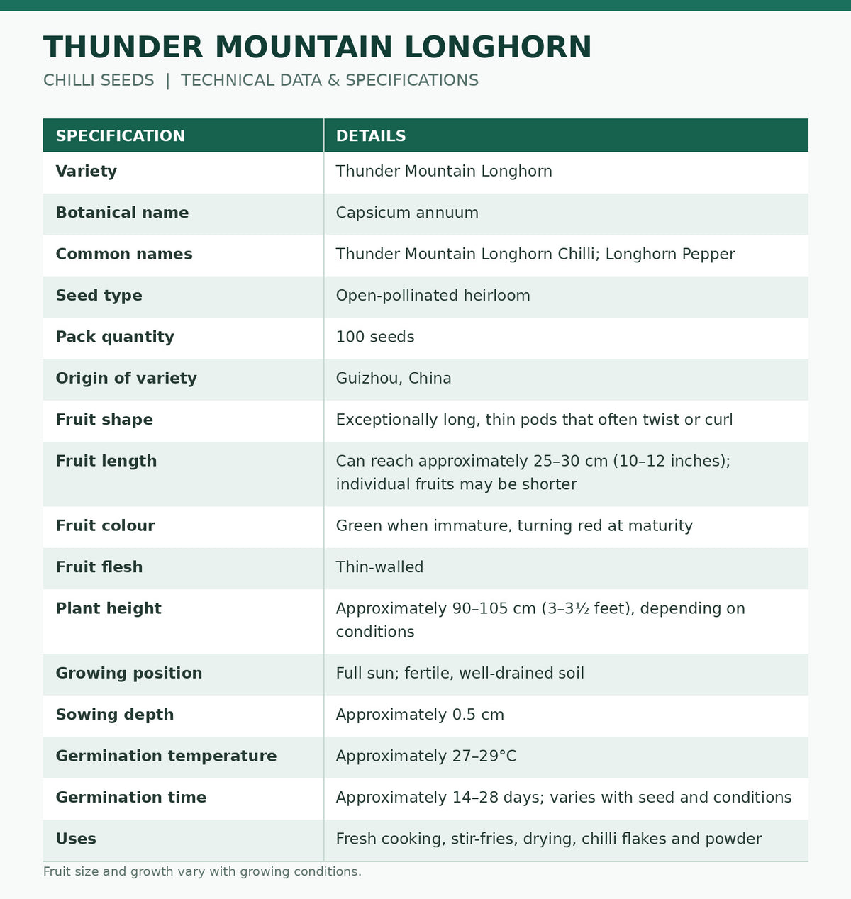 100 Thunder Mountain Longhorn Chilli Seeds – One Foot Long Pepper Variety