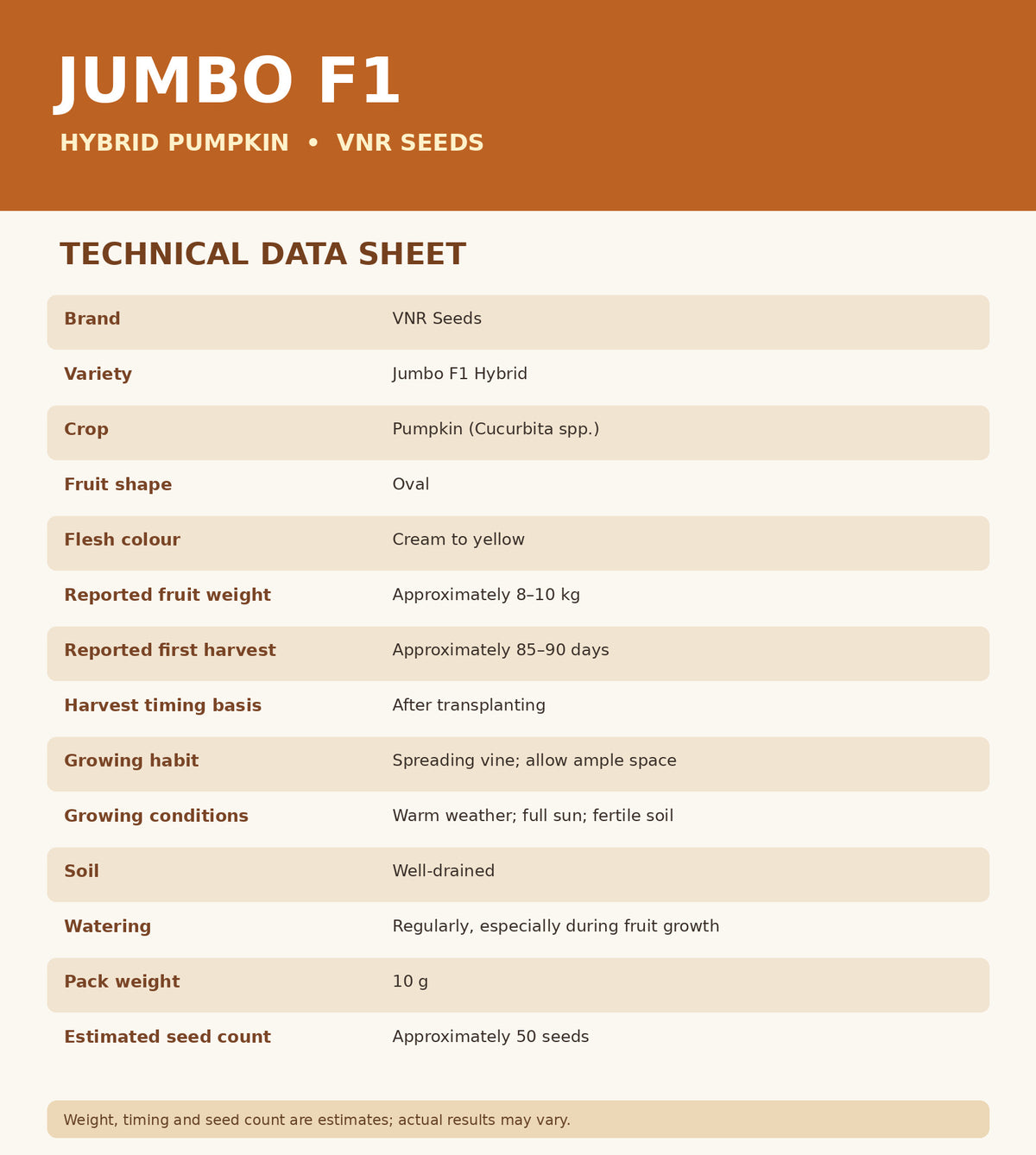 10 Grams VNR Jumbo F1 Hybrid Pumpkin Seeds | Cucurbita spp.