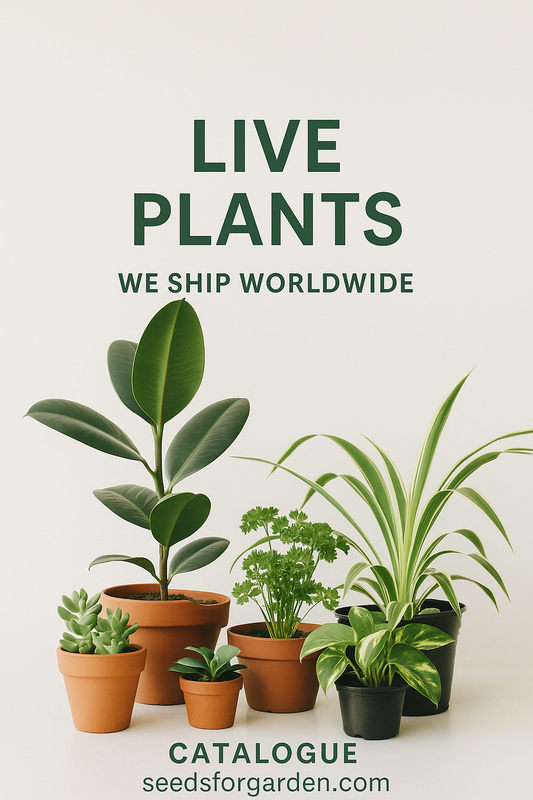 Live Plants  Collection