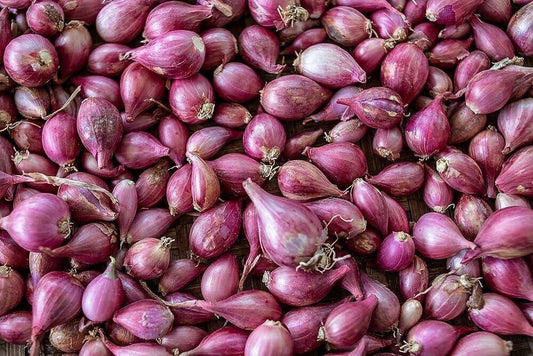 100 Sambar Onion Seeds, Pink Onion Small , Small Red Onions ,Shallots Seeds - Seedsforgarden (1999-2024 ) .We Ship Seeds & Live Plants Worldwide 