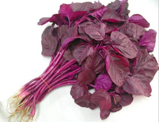 1000 Beetroot red spinach Seeds , Red Spinach , Red Amaranthus Seeds, - Seedsforgarden (1999-2024 ) .We Ship Seeds & Live Plants Worldwide 
