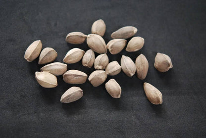 15 Moringa peregrina Seeds, Rare  Seeds, Exotic Tree Seeds, Drumstick tree - Seedsforgarden (1999-2024 ) .We Ship Seeds & Live Plants Worldwide 