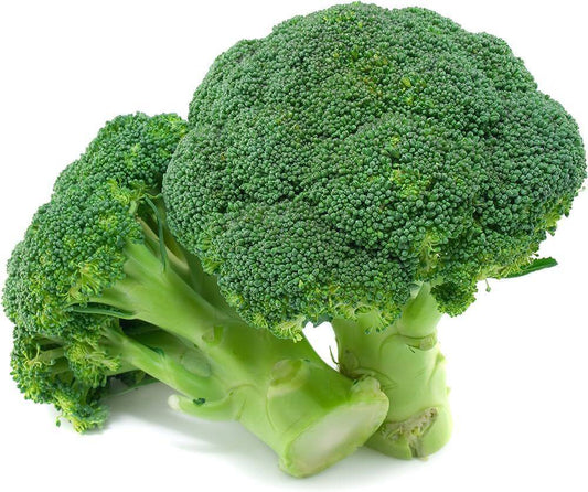 300  Broccoli  Seeds, Brassica oleracea  Seeds. Exotic Vegetable Seeds. NON-GMO - Seedsforgarden (1999-2024 ) .We Ship Seeds & Live Plants Worldwide 