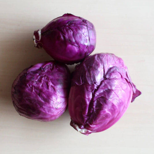 200 Red Cabbage Seeds, Purple Cabbage Seeds,  Non -Gmo Cabbage Seeds, Non Hybrid Seeds - Seedsforgarden (1999-2024 ) .We Ship Seeds & Live Plants Worldwide 