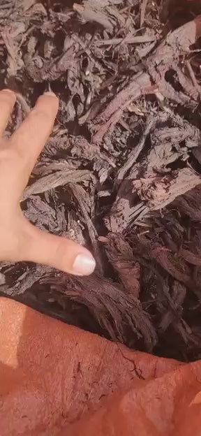 Buy Alkanet Root Wholesale – Bulk Ratanjot Natural Dye, Alkanna tinctoria Wholesale