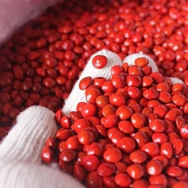 50 Red sandalwood tree Seeds, Adenanthera pavonina Seeds, Red Bead Tree Seeds , - Seedsforgarden (1999-2024 ) .We Ship Seeds & Live Plants Worldwide 