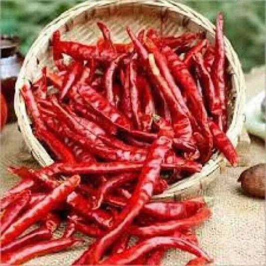25 Samba Red Chilli Seeds Non-Hybrid , Non-Gmo Red  Chilli  Seeds, Exotic Chilli - Seedsforgarden (1999-2024 ) .We Ship Seeds & Live Plants Worldwide 