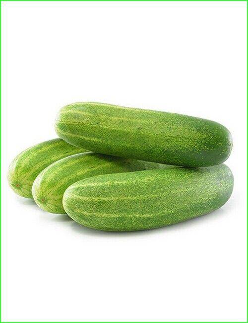 25 Long Cucumber Seeds, Non- Hybrid , Exotic Cucumber Seeds, Cucumber For Salads - Seedsforgarden (1999-2024 ) .We Ship Seeds & Live Plants Worldwide 