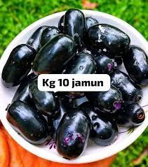 5 Plants Thai Jumbo Jamun Plants, With Phytosanitary certificate - Botanika
